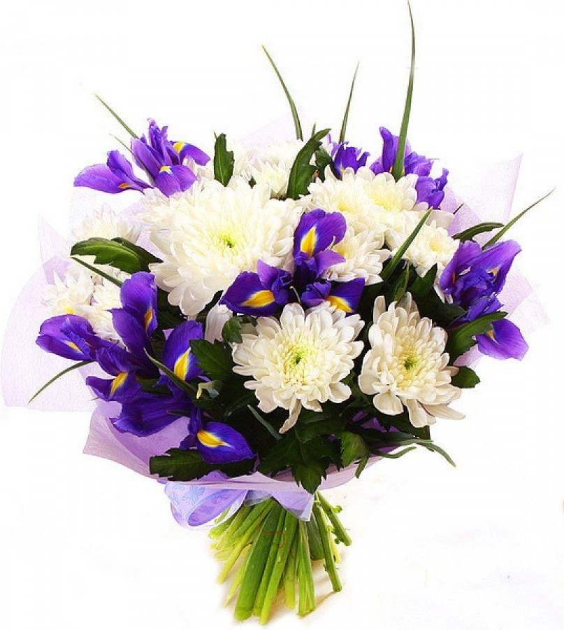 Букет из ирисов и хризантем Букет «Привет»